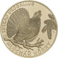 Fauna a flóra na Slovensku – hlucháň hôrny
